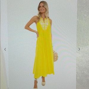 Tuckernuck Citron Cyprus Maxi Dress Size L
